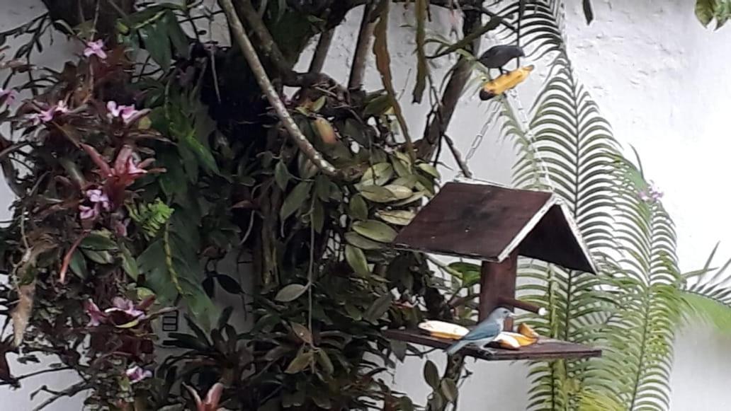 Suites Beija-Flor Paraty Luaran gambar