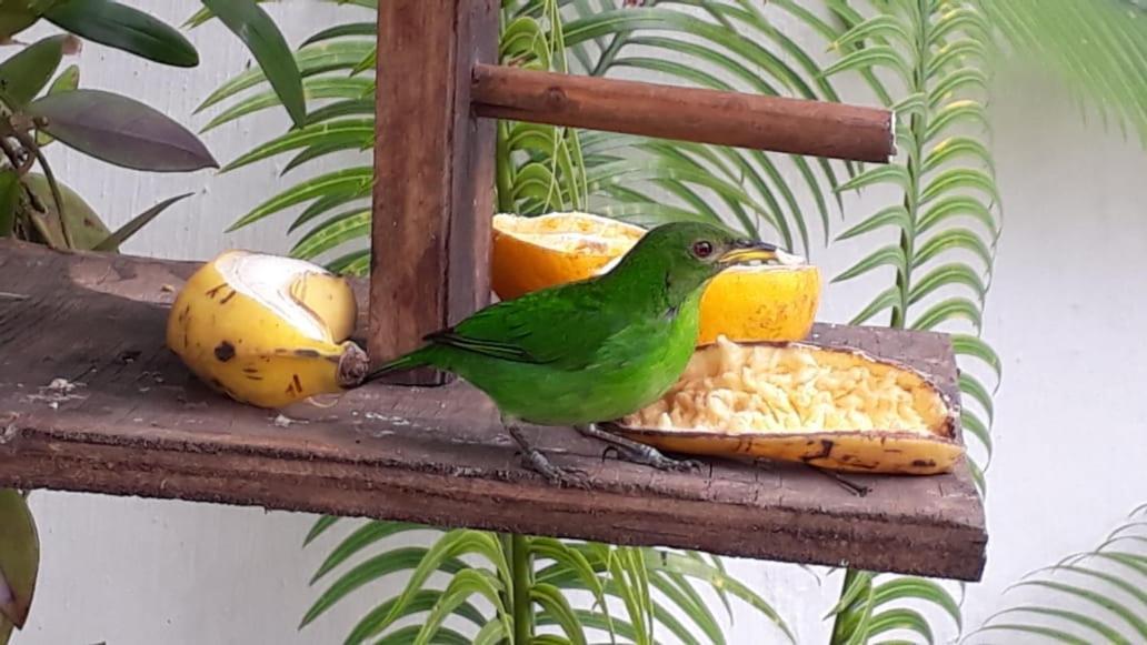 Suites Beija-Flor Paraty Luaran gambar