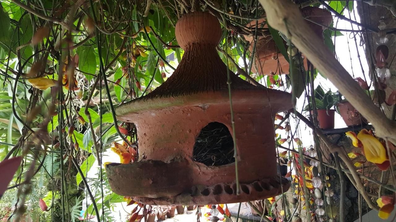 Suites Beija-Flor Paraty Luaran gambar